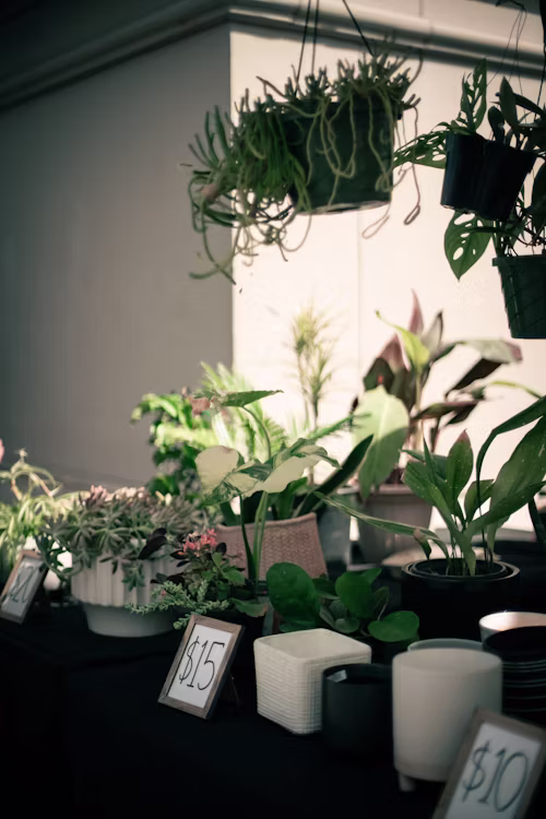 Urban Farming